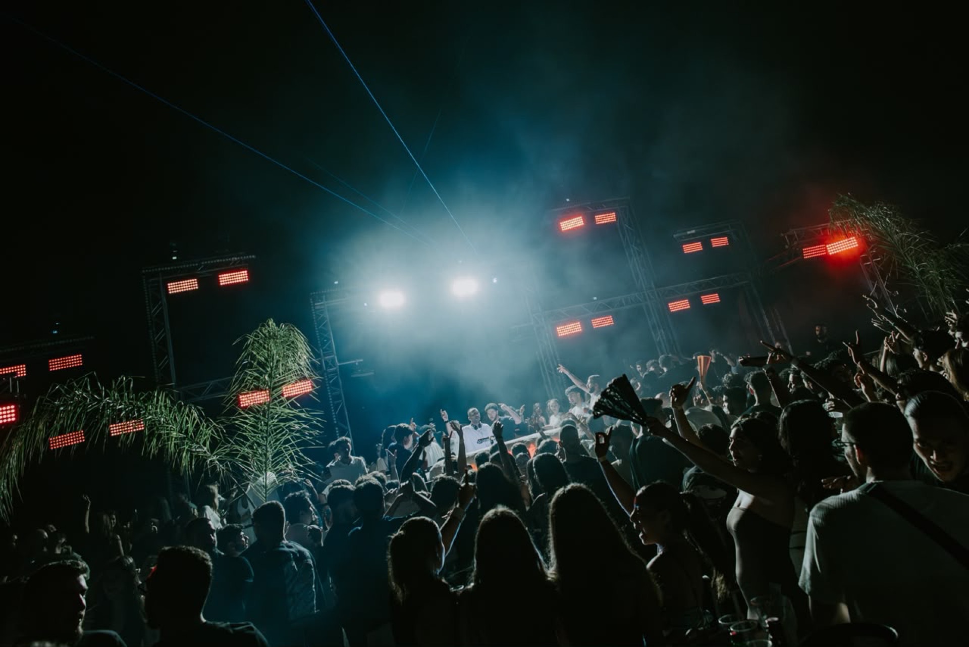Lit palms after dark